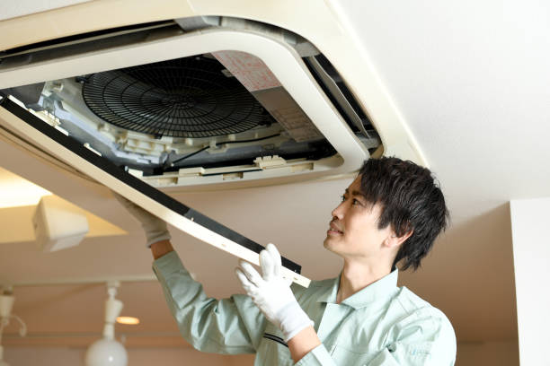 Best HVAC Duct Inspection Services  in Holgate, OH